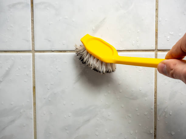 Best Mold Testing  in Palmetto, GA