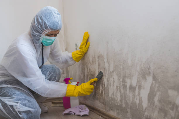 Best Crawl Space Mold Removal  in Palmetto, GA