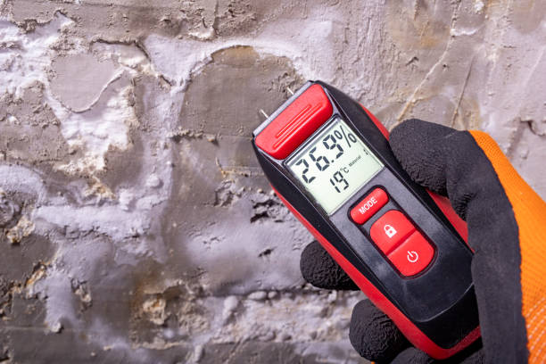 Mold Removal and Inspection in Palmetto, GA