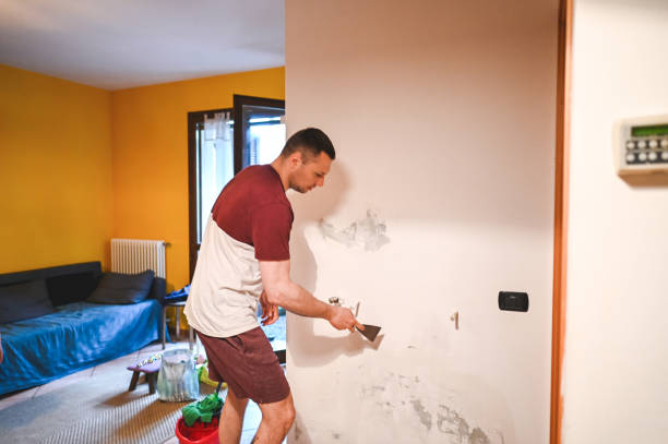 Best Attic Mold Removal  in Palmetto, GA